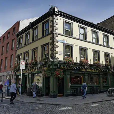 The Norsman