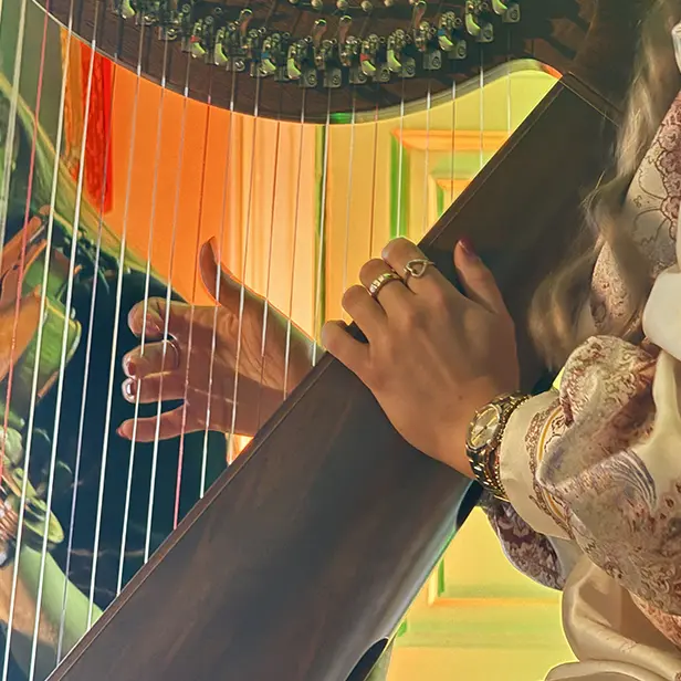 playing the harp
