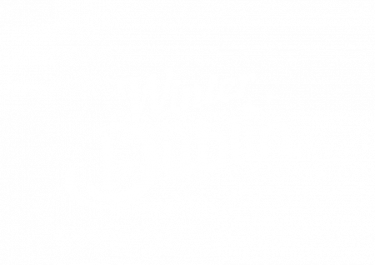 winter in dublin logo white