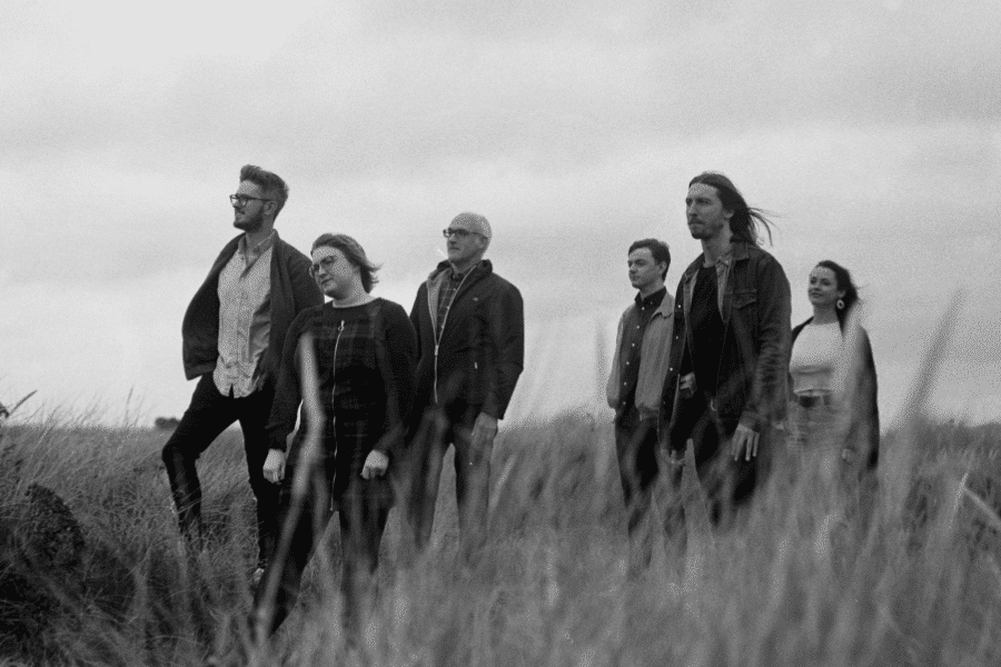 BLUE FISH DIAMOND WALKING THROUGH FIELD