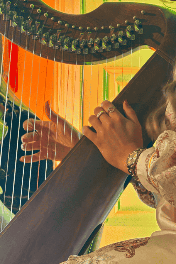 Celebrating the Harp